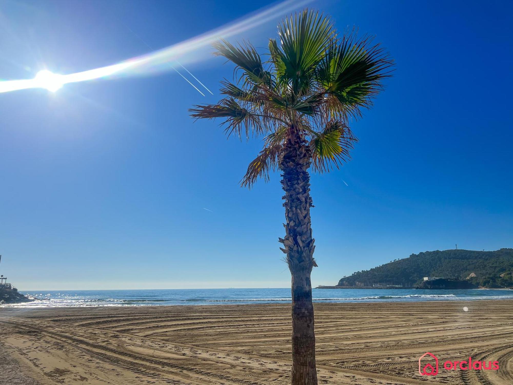 Cala Concha Apartamento Oropesa del Mar Exterior foto